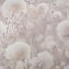 Обои Палитра 72543-22 Cottonia